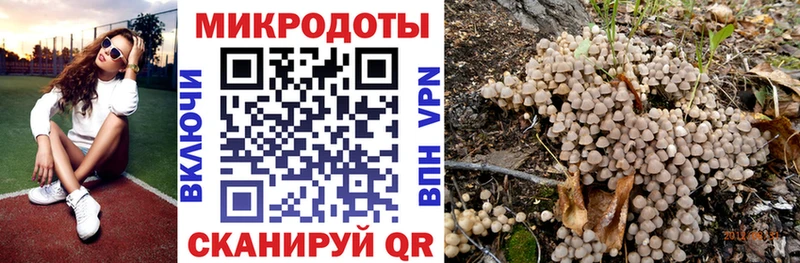 Галлюциногенные грибы мицелий  где можно купить наркотик  Сольцы 